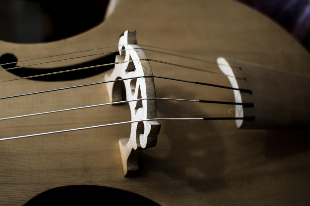 La Viola Da Gamba